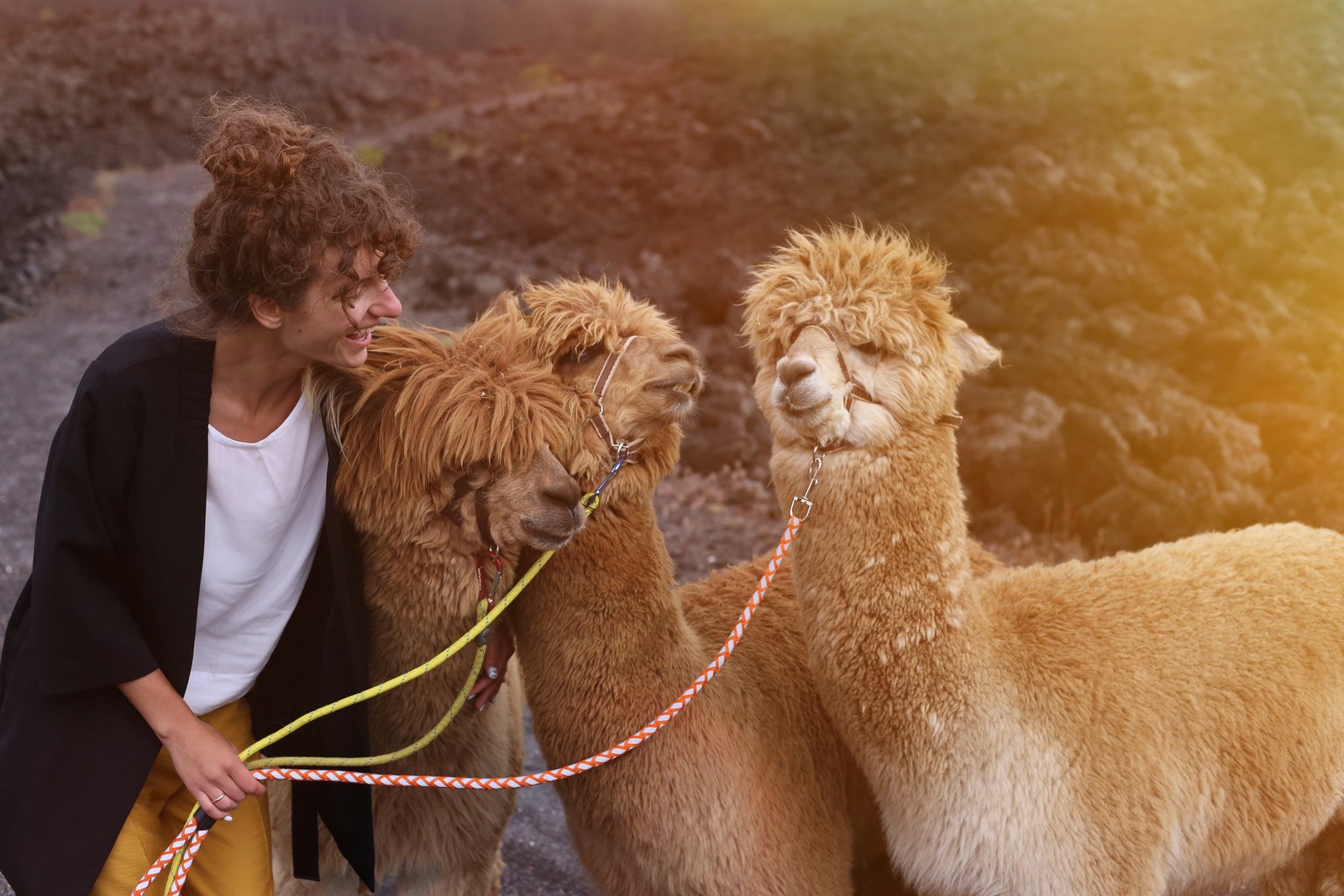 Öfter mal was Neues: Wie wäre es mit einer Alpakawanderung in den Sommerferien?! Foto: © envato/friends_stock young-woman-hugs-her-llama-friends-in-the-mountain-2025-03-25-06-59-29-utc_1_